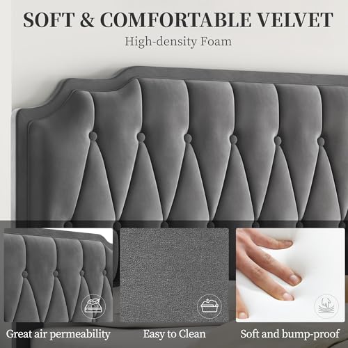 Velvet Upholstered Queen Bed Frame with Curved Headboard