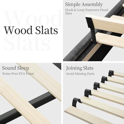 Velvet Upholstered Queen Bed Frame with Curved Headboard