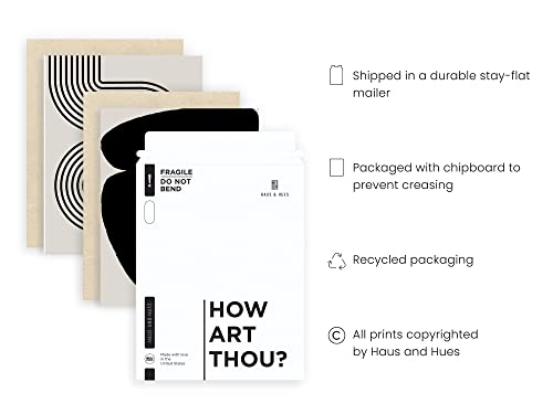 HAUS AND HUES Black Abstract Painting Set (6 Pc)