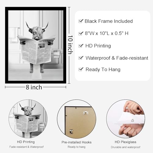 Highland Cow Funny Bathroom Wall Art Set