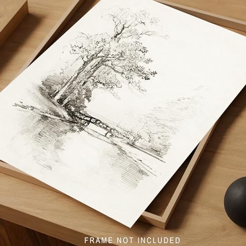 Vintage Wall Art - Classical Sketch Poster Print