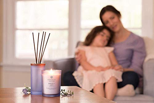 Serenity + Calm Lavender Thyme Scented Candle - Orange