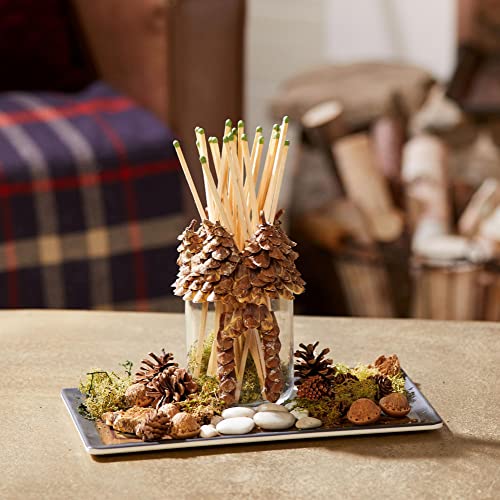 Yankee Candle Balsam & Cedar 22oz Single Wick