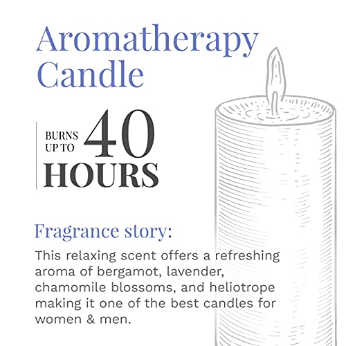 10oz 3-Wick Fresh Lavender Aromatherapy Candle, Light Purple