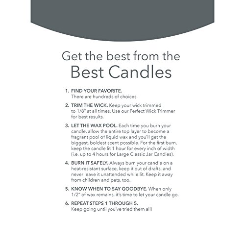 Yankee Candle Bahama Breeze 22oz Large Jar Candle