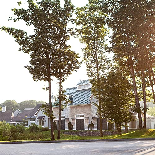 Fairy Dust Large Glass Candle, 21.25 oz, Purple