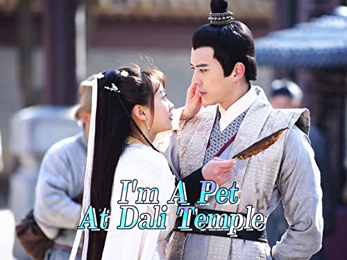 Dali Temple Inspired Pet Decor EP20