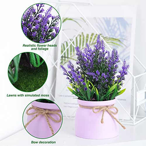 CEWOR 3 Pack Small Fake Potted Plants: Lavender, Eucalyptus