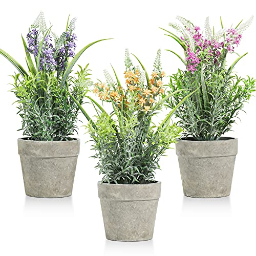 T4U 12 Inch Lavender Potted Plant (3PCS), Wedding Decor