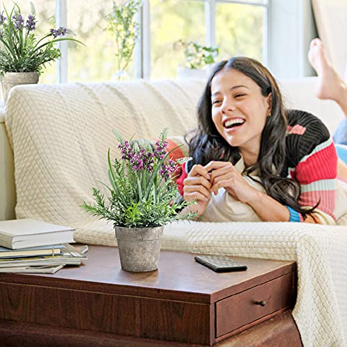 T4U 12 Inch Lavender Potted Plant (3PCS), Wedding Decor