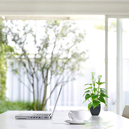 White Calla Lily Faux Potted Plant for Indoor/Outdoor Decor