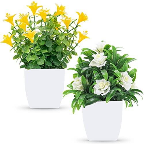 Der Rose 2 Packs Mini Artificial Plants