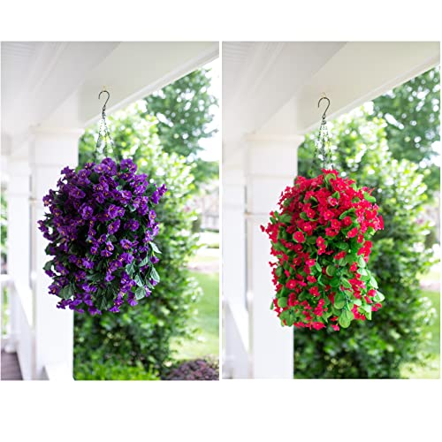 Purple Morning Glory Trailing Vines for Outdoor Decoration