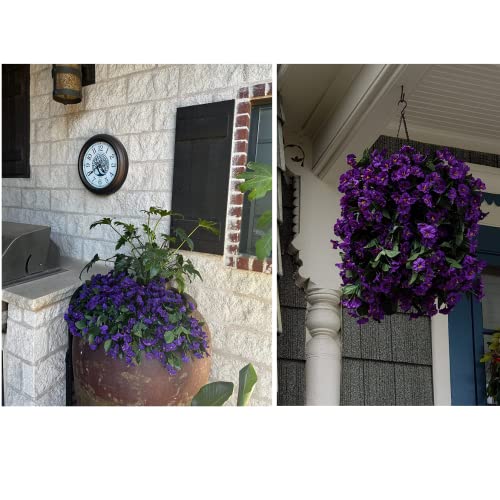 Purple Morning Glory Trailing Vines for Outdoor Decoration