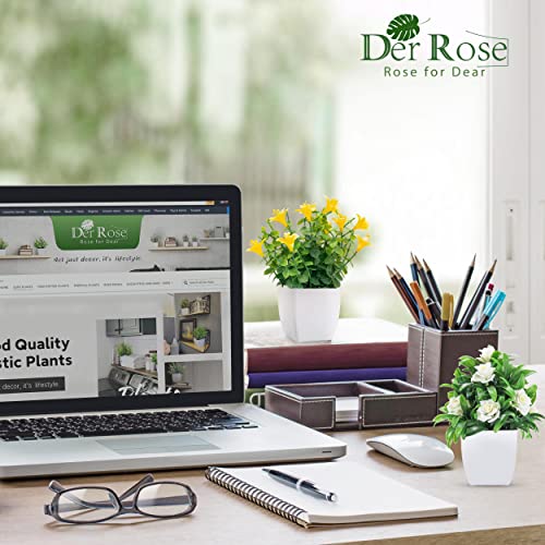 Der Rose 2 Packs Mini Artificial Plants