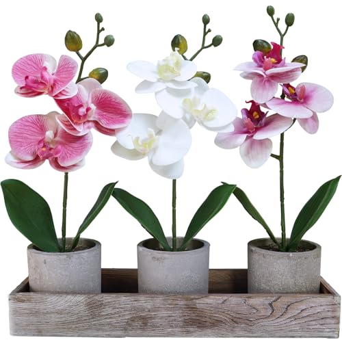 Set of 3 Small Artificial Orchid Plants with Wood Planter Box