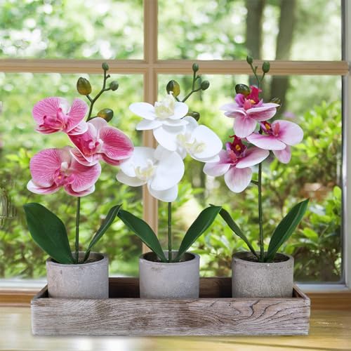 Set of 3 Small Artificial Orchid Plants with Wood Planter Box