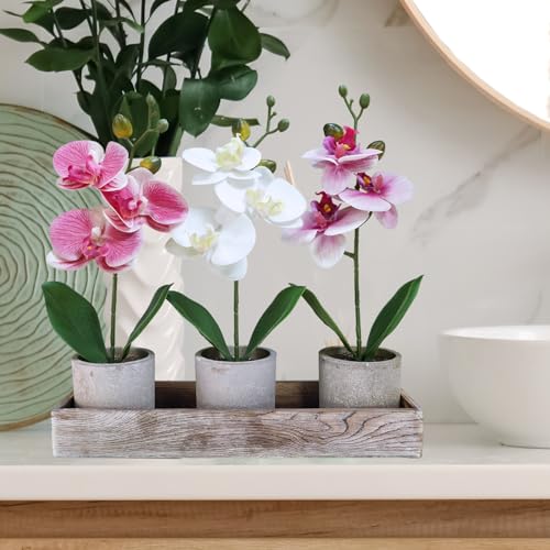 Set of 3 Small Artificial Orchid Plants with Wood Planter Box