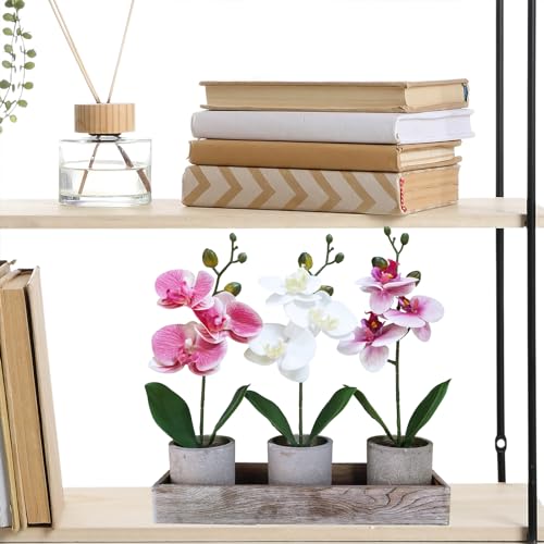 Set of 3 Small Artificial Orchid Plants with Wood Planter Box