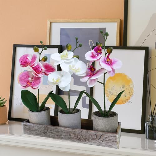 Set of 3 Small Artificial Orchid Plants with Wood Planter Box