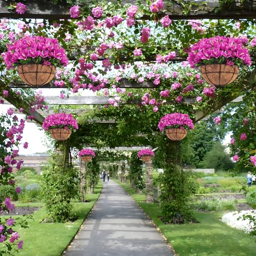 Silk Azalea Flowers in Coconut Lined Hanging Basket