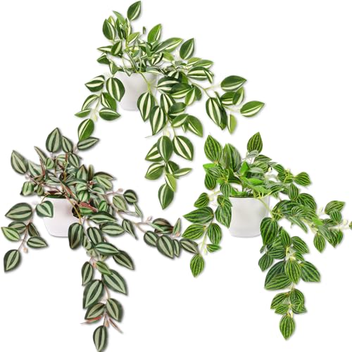 CEWOR Realistic Artificial Hanging Plants Set of 3