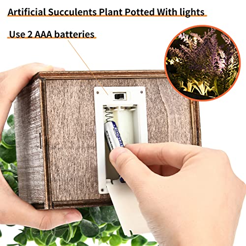 Fake Eucalyptus & Lavender Potted Plant Set with Lights