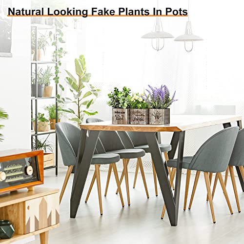 Fake Eucalyptus & Lavender Potted Plant Set with Lights