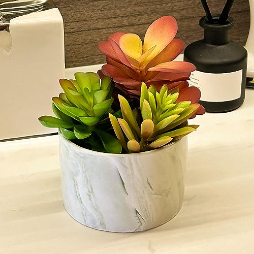 Karlliu Artificial Succulents in Ceramic Planter - Colorful Decor