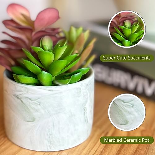 Karlliu Artificial Succulents in Ceramic Planter - Colorful Decor