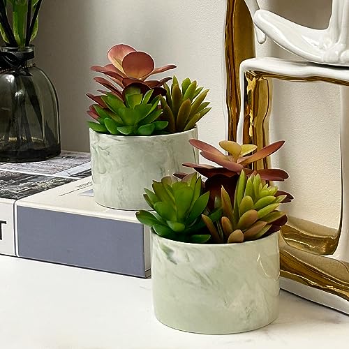 Karlliu Artificial Succulents in Ceramic Planter - Colorful Decor