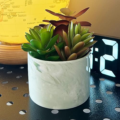 Karlliu Artificial Succulents in Ceramic Planter - Colorful Decor