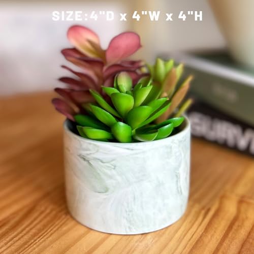 Karlliu Artificial Succulents in Ceramic Planter - Colorful Decor