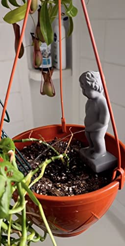 NPW Plant Life Peeing Boy Watering Stake Statue