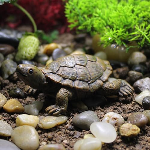 Handcrafted Turtle Statue/Fountain Decor for Indoor & Outdoor