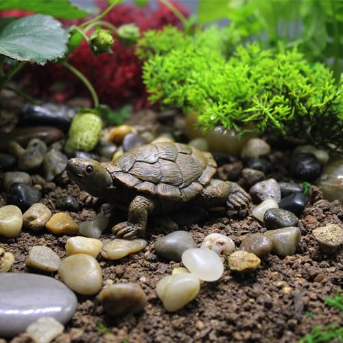 Handcrafted Turtle Statue/Fountain Decor for Indoor & Outdoor