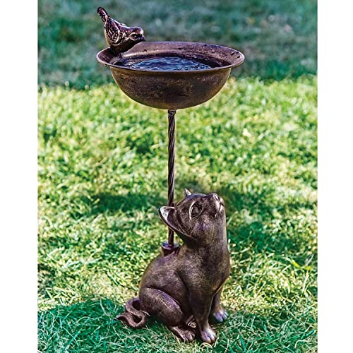 Curious Cat Birdbath - Outdoor Garden Decor Sculpture