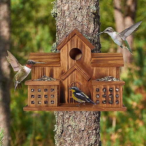 Bluebird Finch Cardinals Hanging Birdhouse for Garden Outdoor