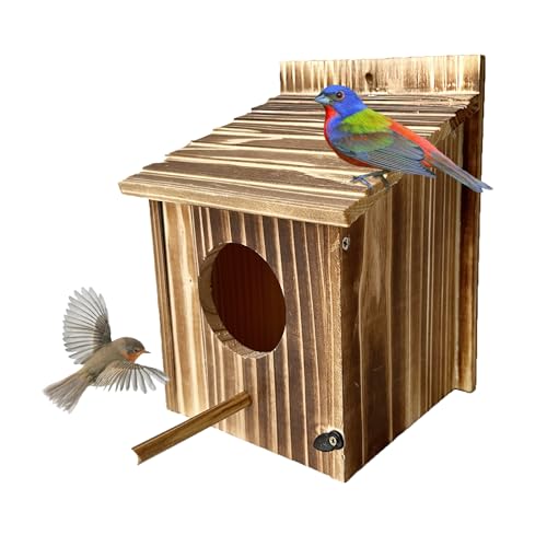 Wooden Bird House for Garden, Bluebird, Cardinals, Hanging
