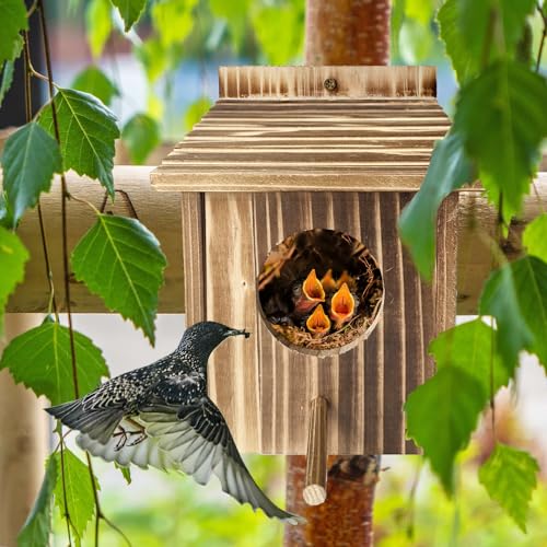 Wooden Bird House for Garden, Bluebird, Cardinals, Hanging