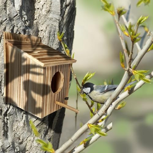 Wooden Bird House for Garden, Bluebird, Cardinals, Hanging