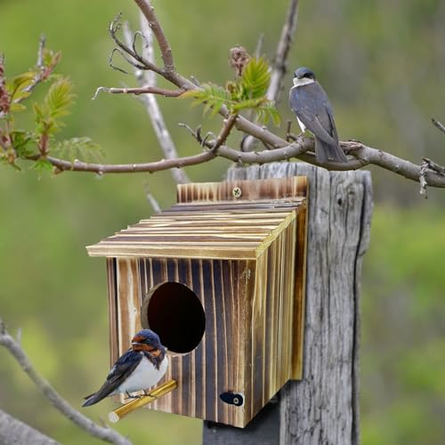 Wooden Bird House for Garden, Bluebird, Cardinals, Hanging