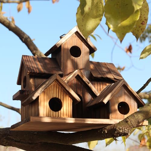Wooden Bird Houses for Outside, Bird Families Room