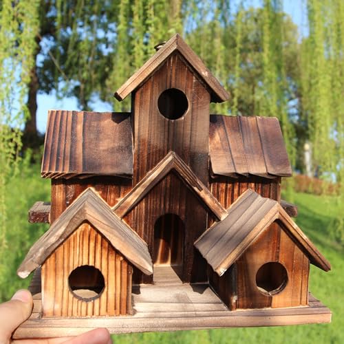 Wooden Bird Houses for Outside, Bird Families Room