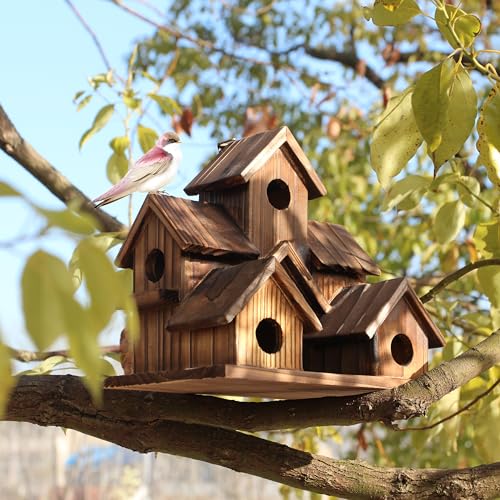 Wooden Bird Houses for Outside, Bird Families Room