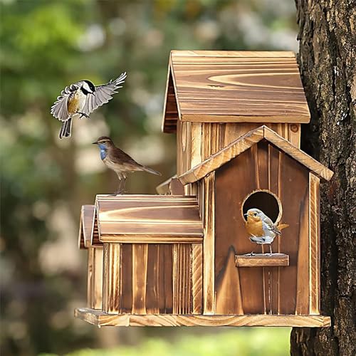 Wooden Bird Houses for Outside, Bird Families Room