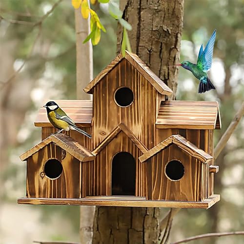 Wooden Bird Houses for Outside, Bird Families Room