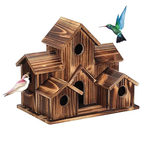 Wooden Bird Houses for Outside, Bird Families Room
