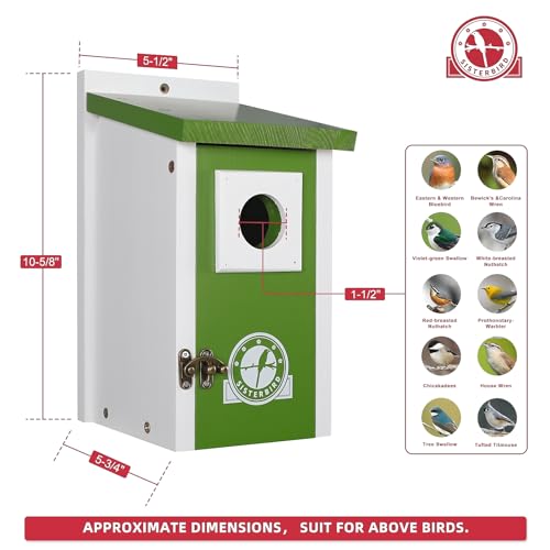 SISTERBIRD Cedar Bird House Outdoor in Lime Green