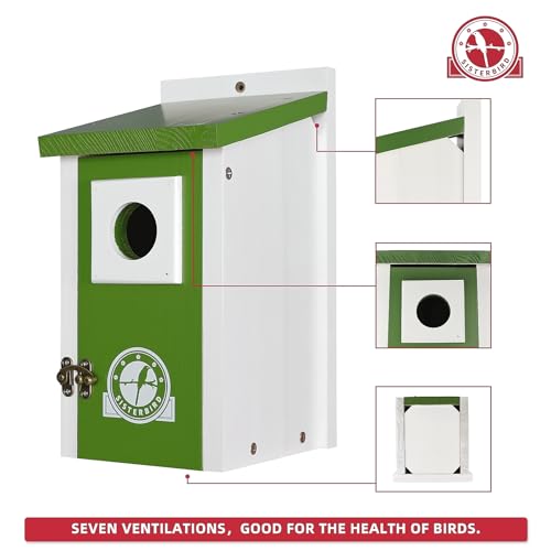 SISTERBIRD Cedar Bird House Outdoor in Lime Green